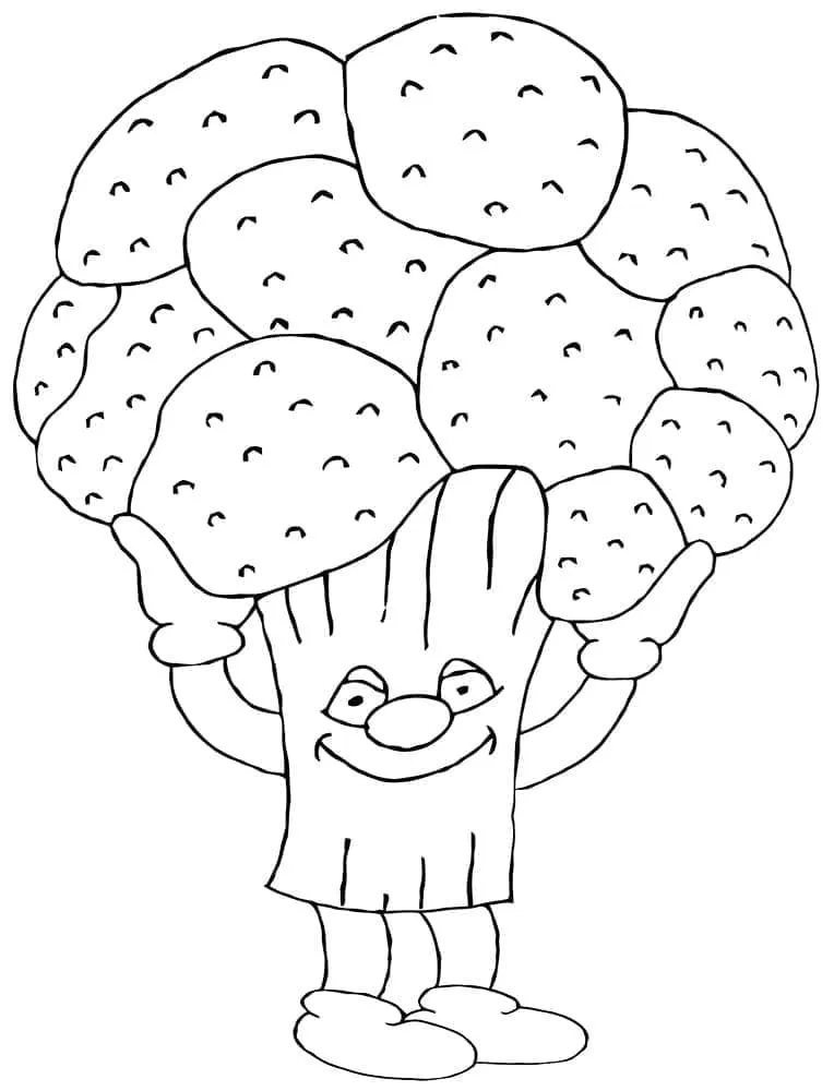 Chou Fleur 17